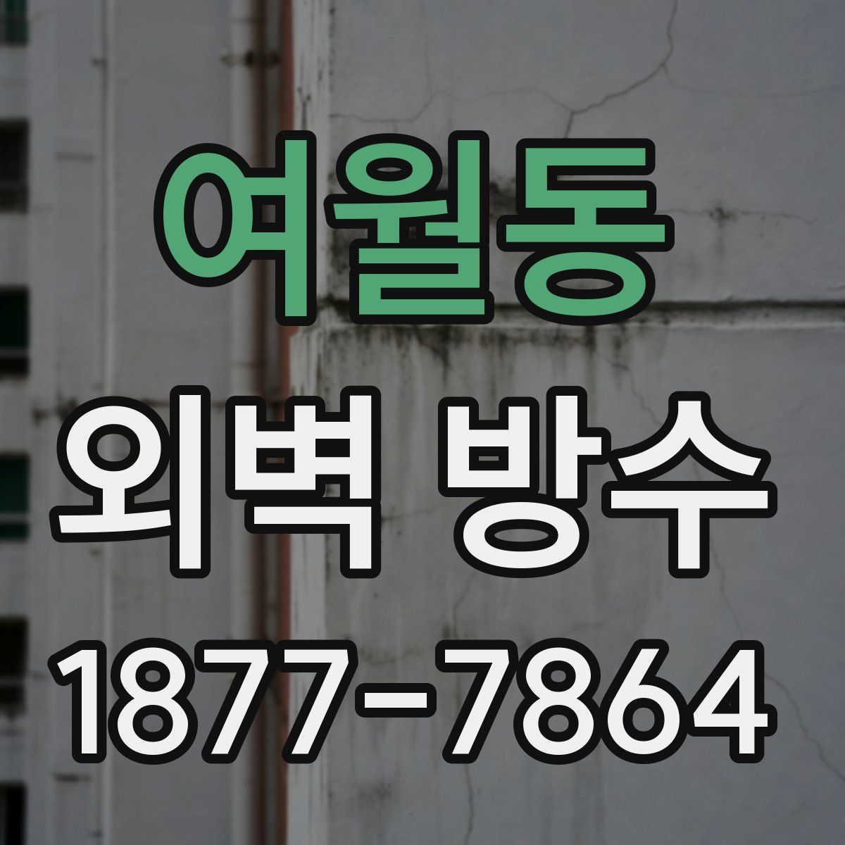 여월동 외벽 방수