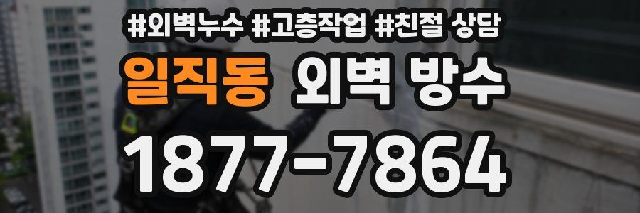 일직동 외벽 방수