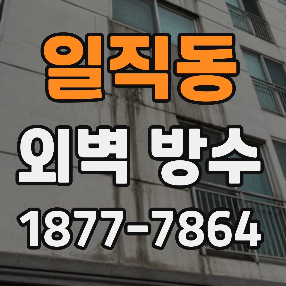 일직동 외벽 방수
