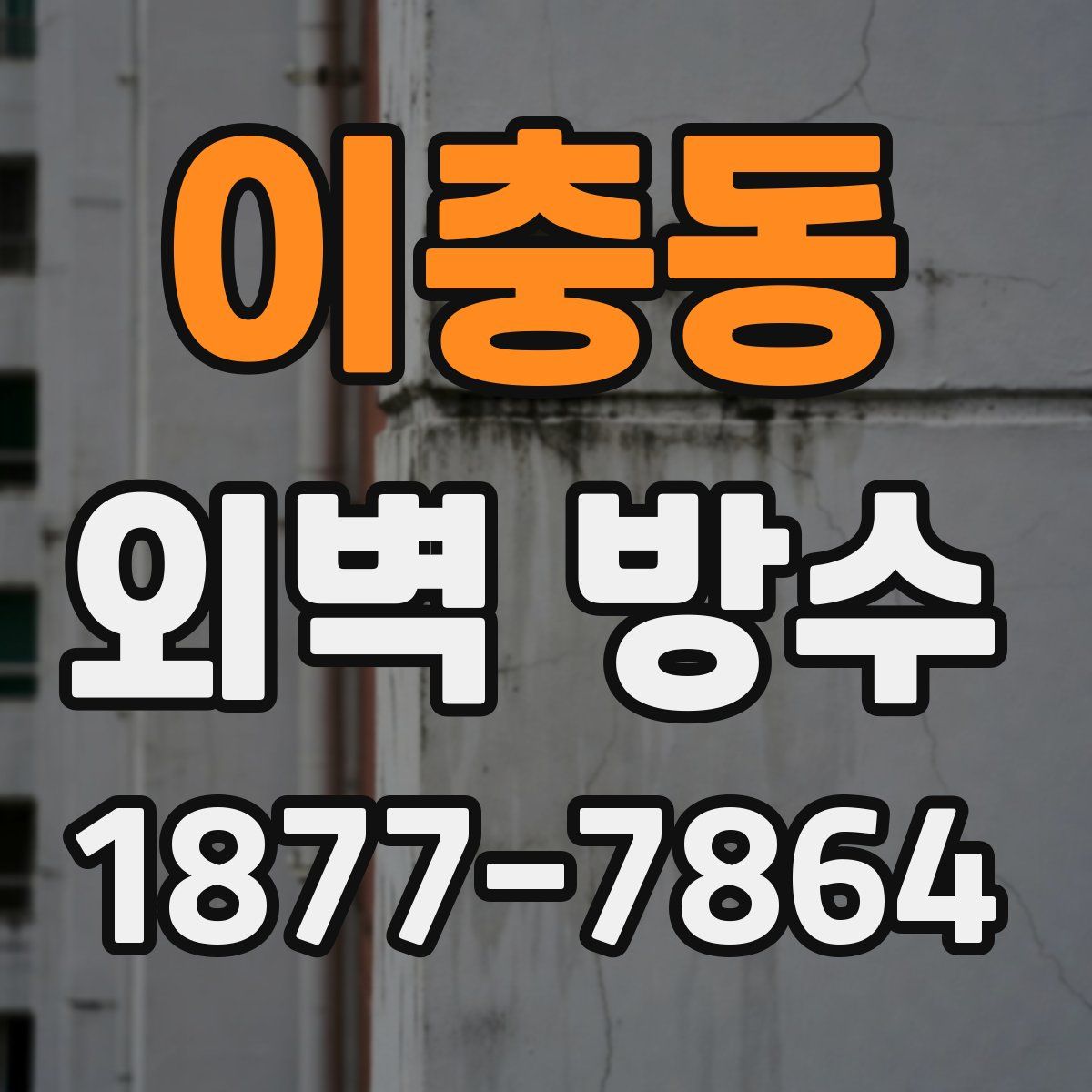 이충동 외벽 방수