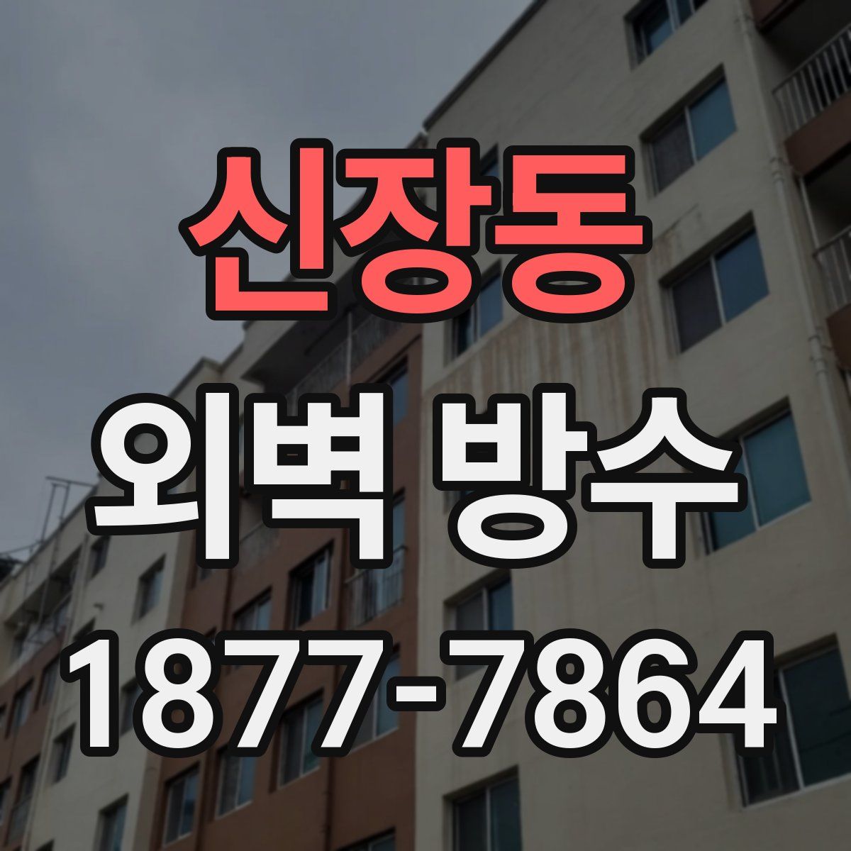 신장동 외벽 방수