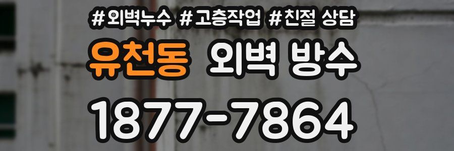 유천동 외벽 방수