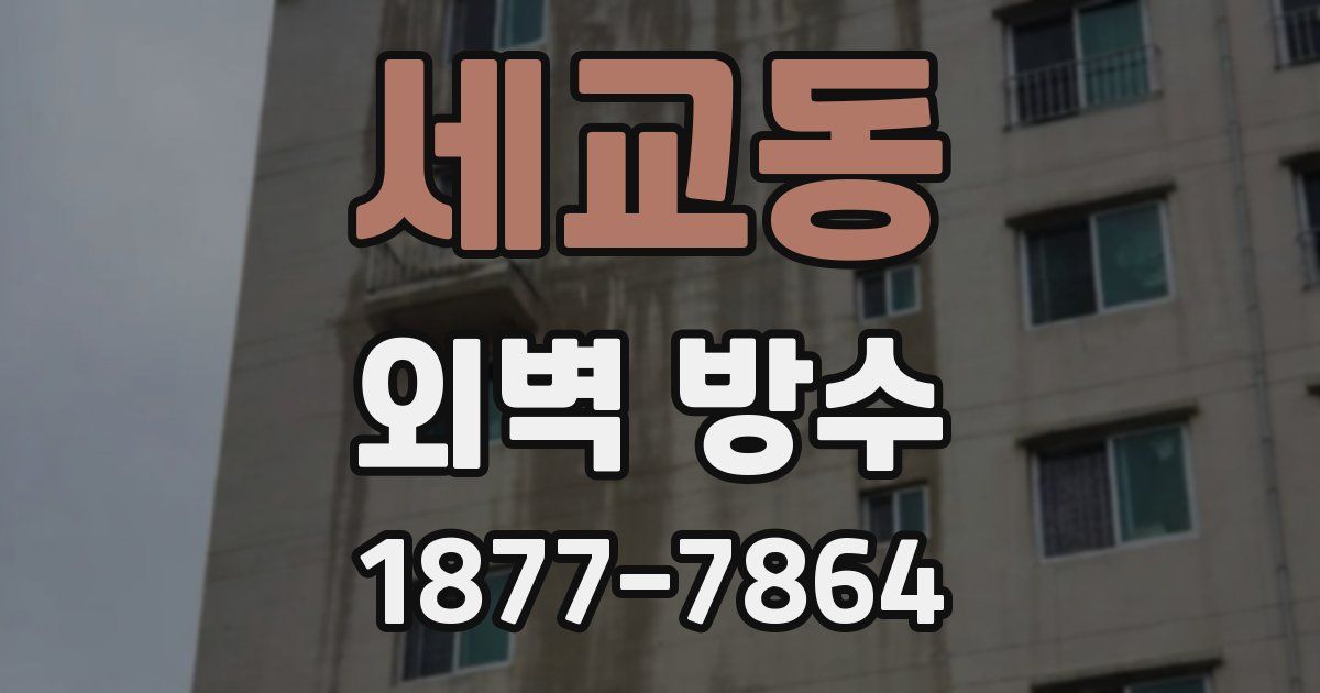 세교동 외벽 방수