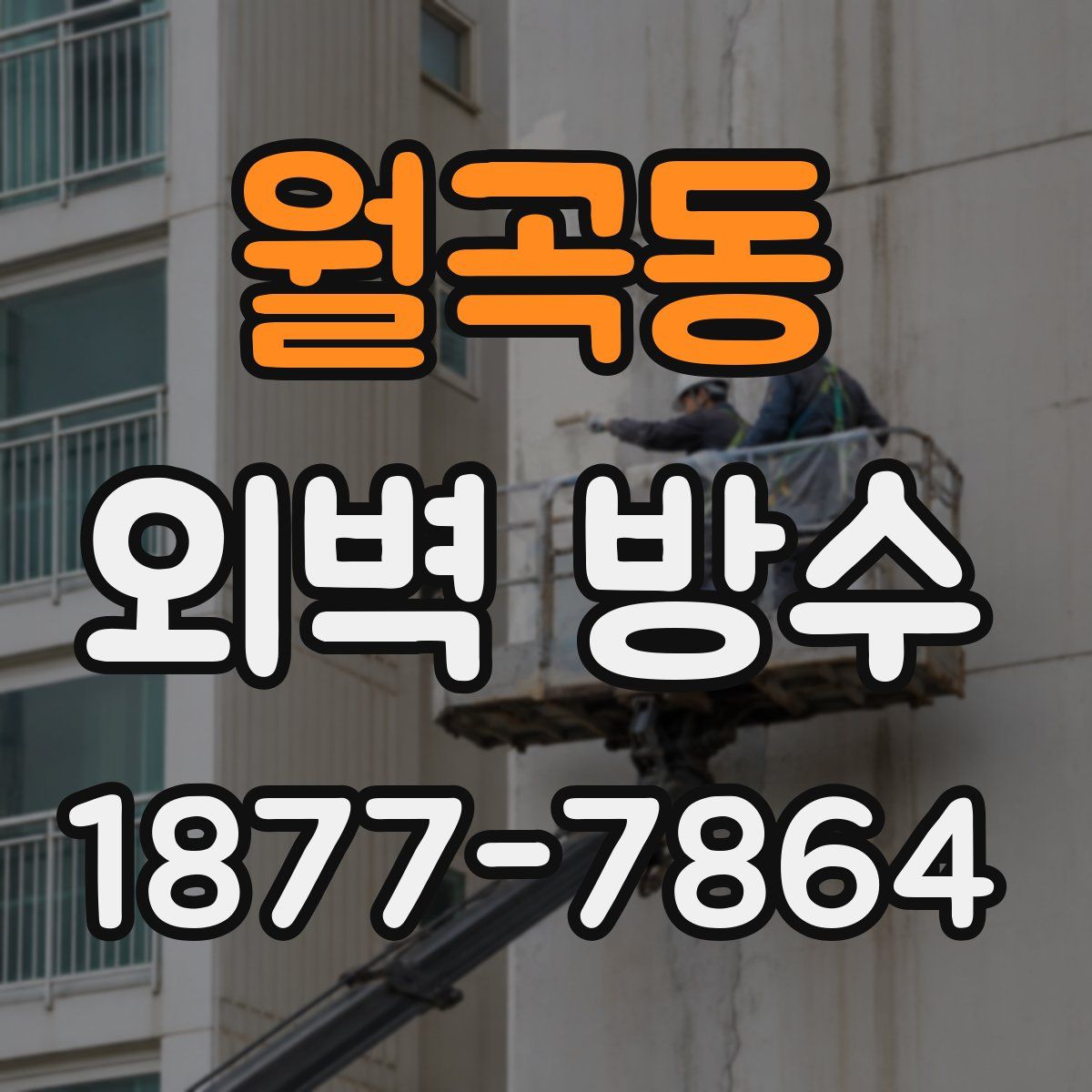 월곡동 외벽 방수