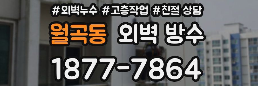 월곡동 외벽 방수