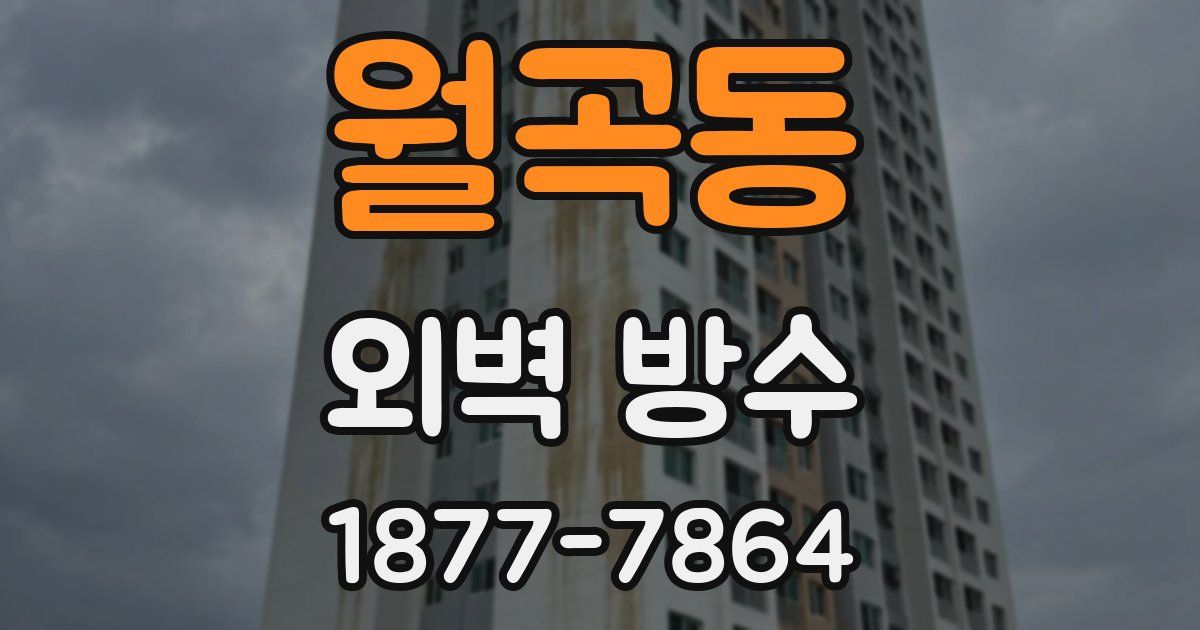 월곡동 외벽 방수