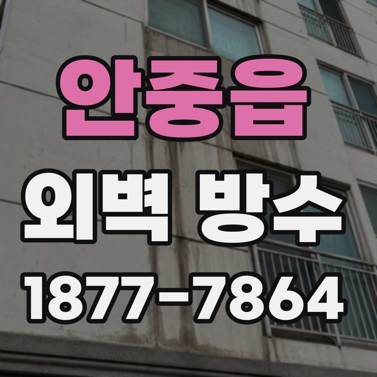 안중읍 외벽 방수