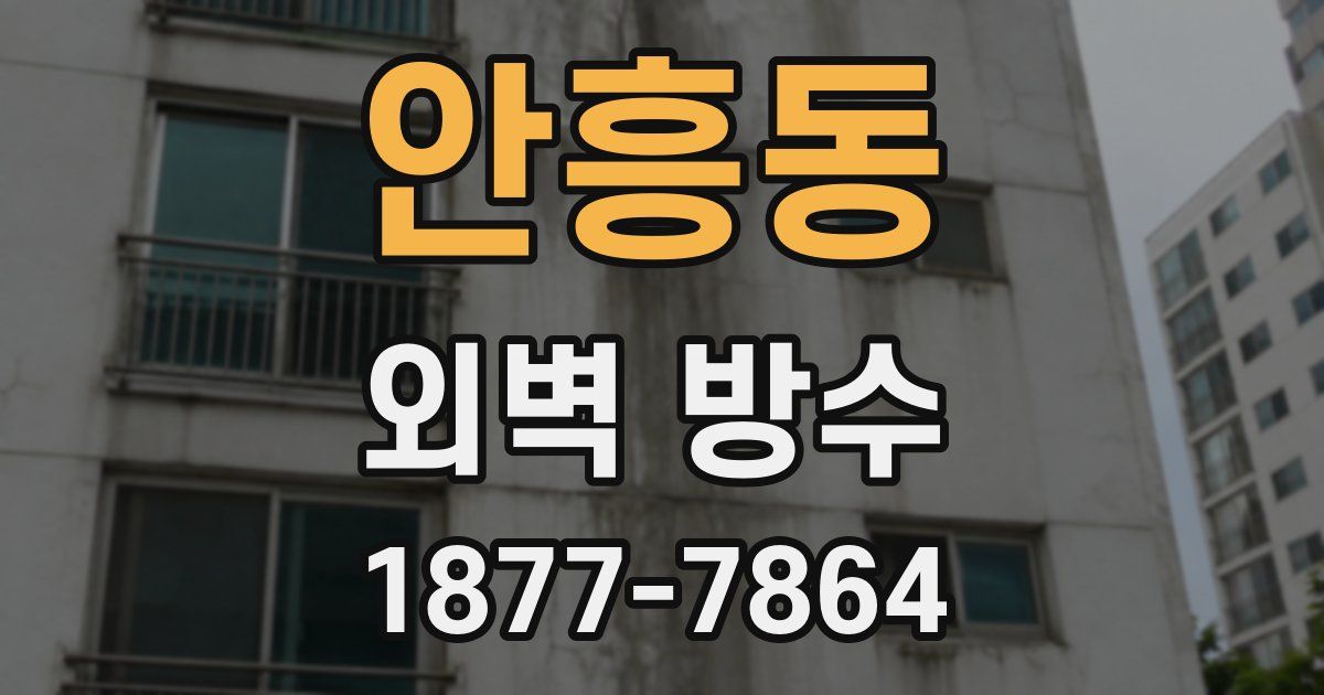 안흥동 외벽 방수