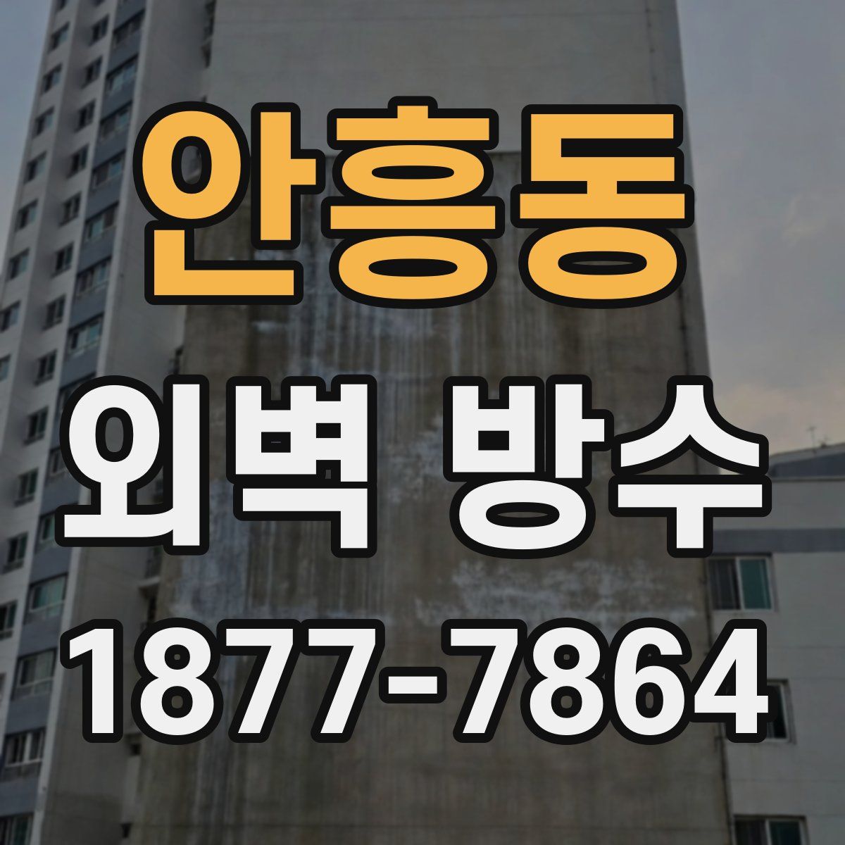 안흥동 외벽 방수
