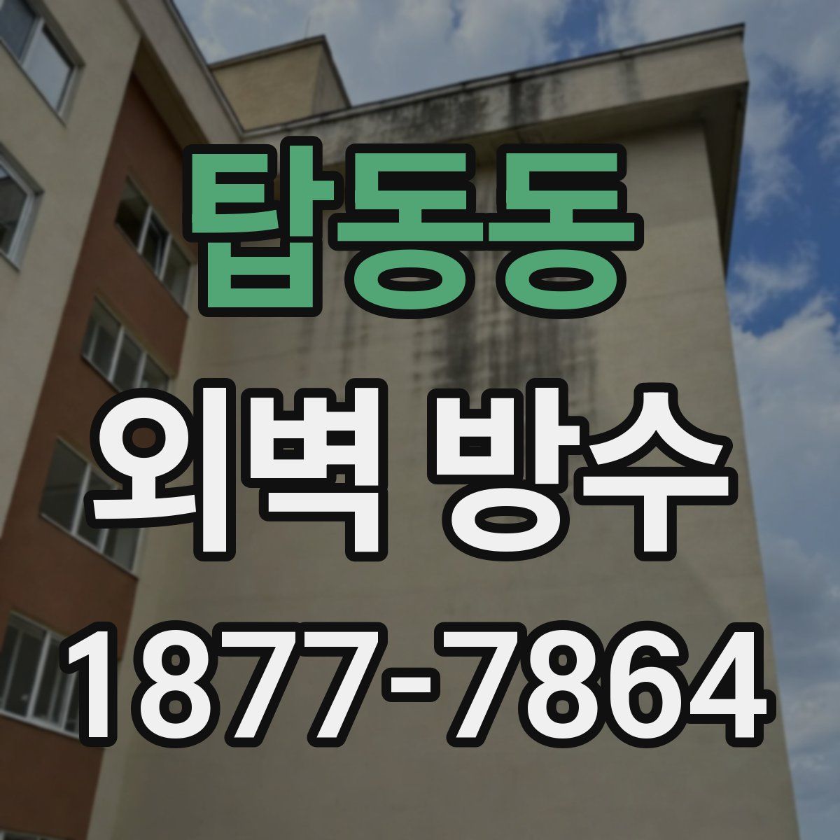 탑동동 외벽 방수