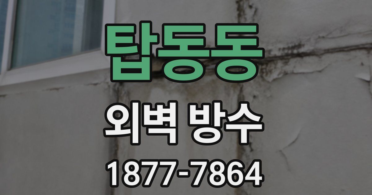 탑동동 외벽 방수