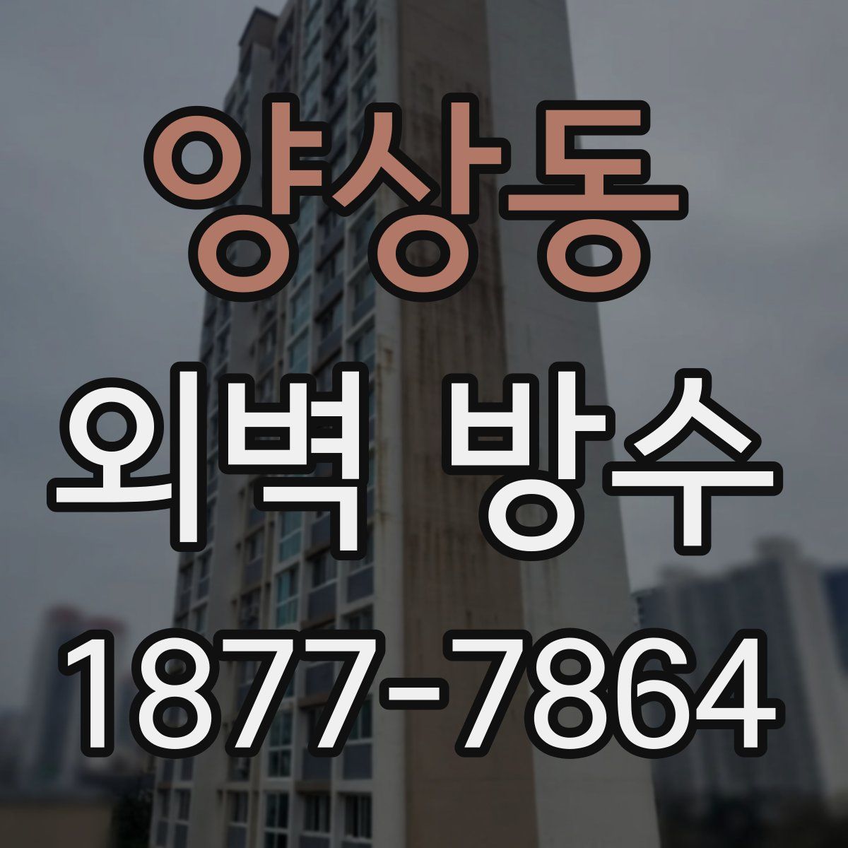 양상동 외벽 방수