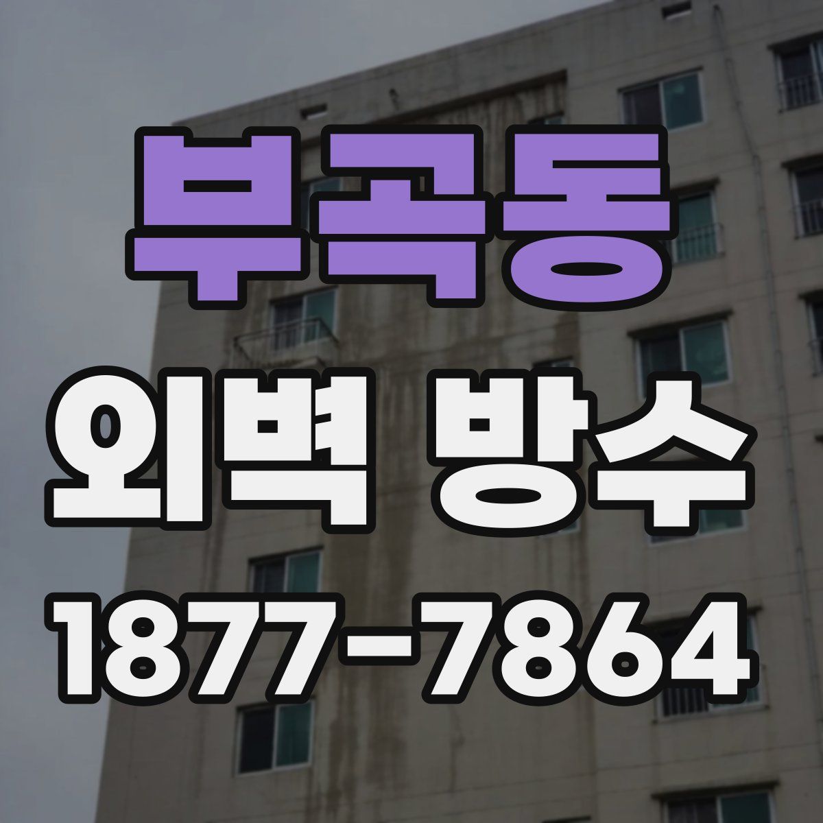 부곡동 외벽 방수