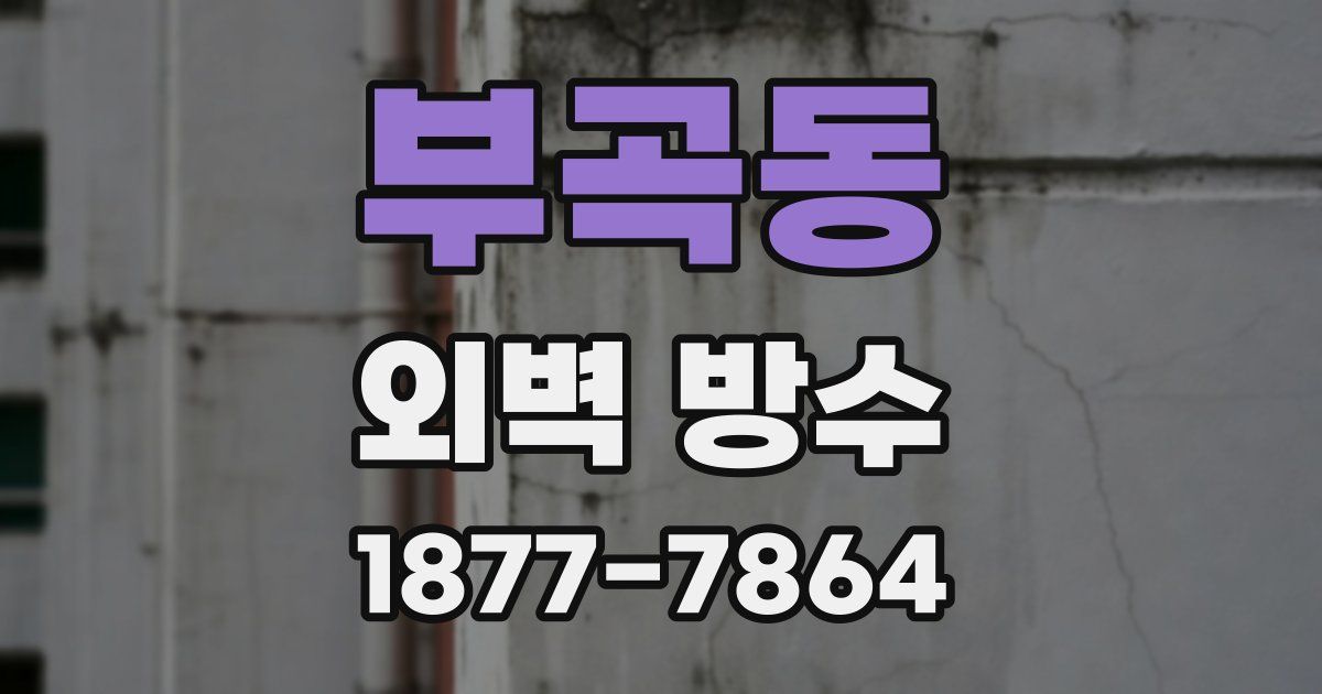 부곡동 외벽 방수