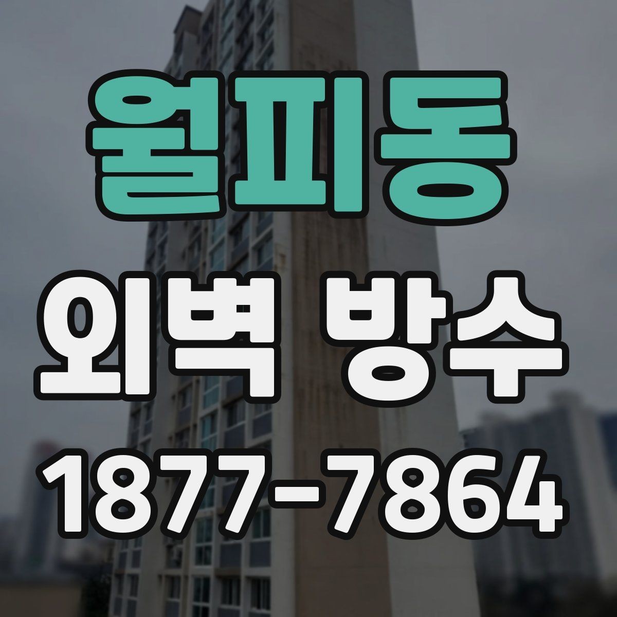 월피동 외벽 방수 공사와 함께 보면 좋은 추가 점검