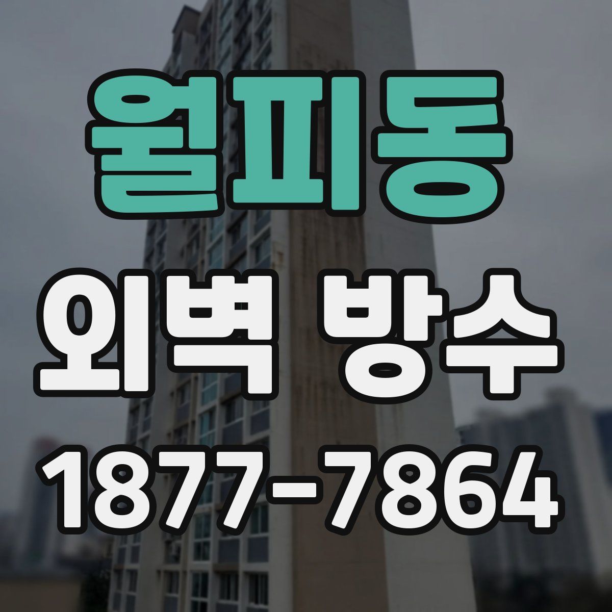 월피동 외벽 방수