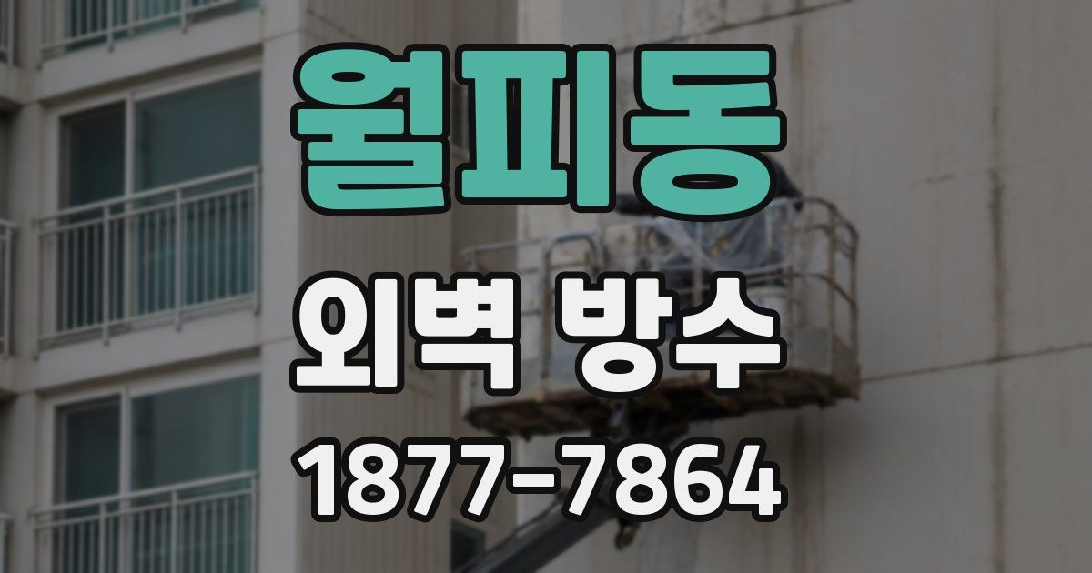 월피동 외벽 방수
