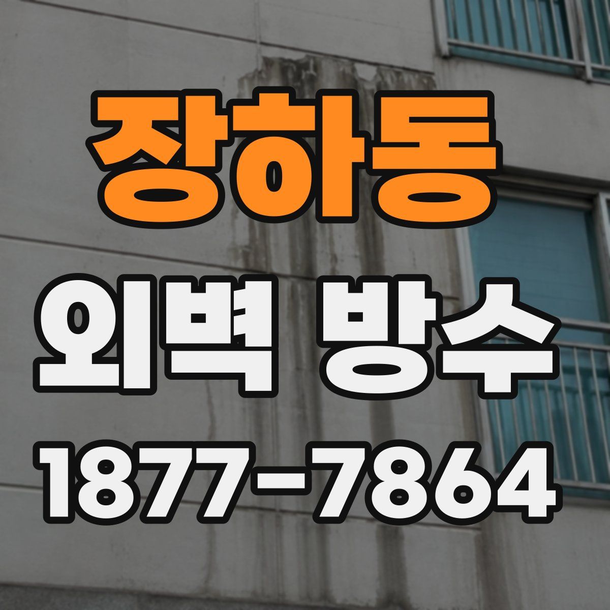 장하동 외벽 방수