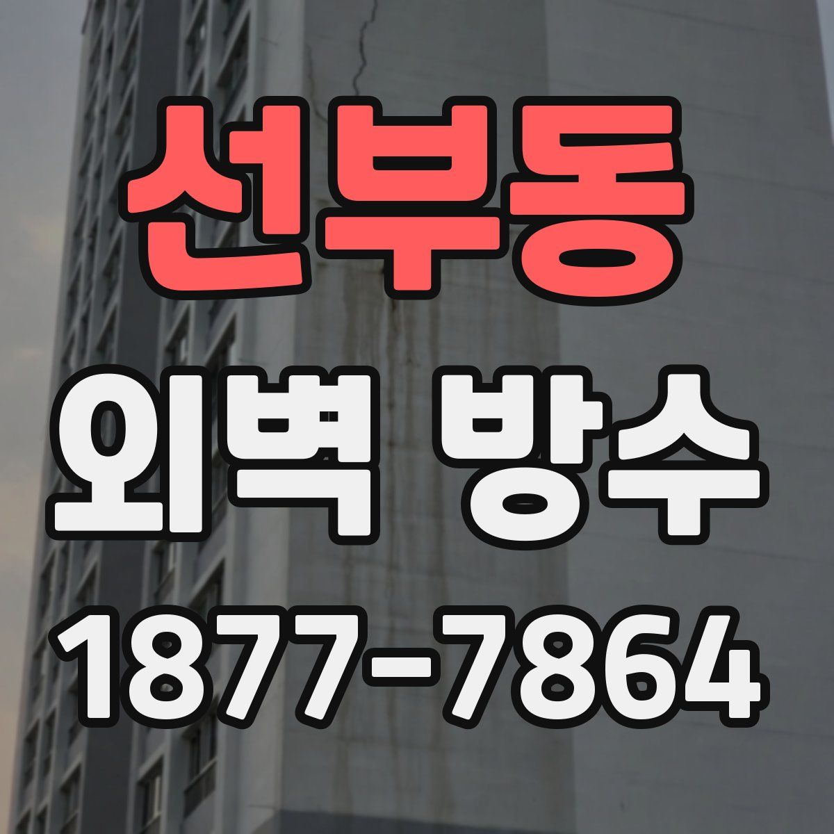선부동 외벽 방수