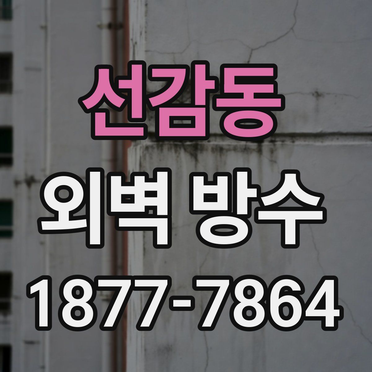 선감동 외벽 방수