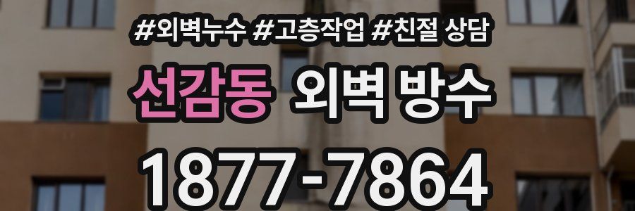 선감동 외벽 방수
