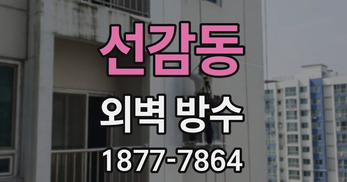 선감동 외벽 방수