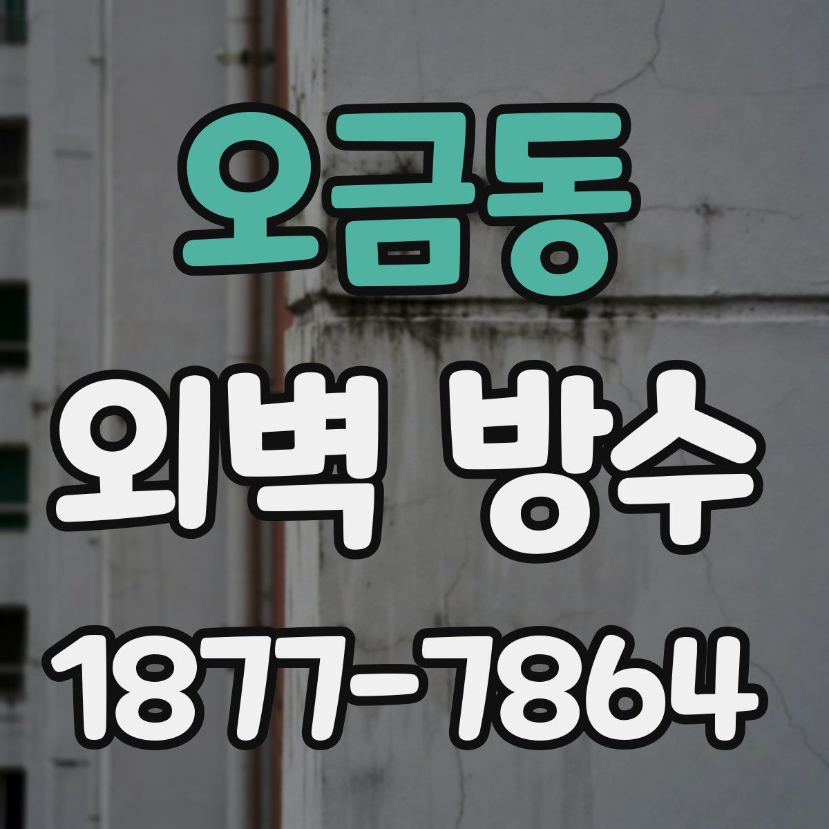 오금동 외벽 방수