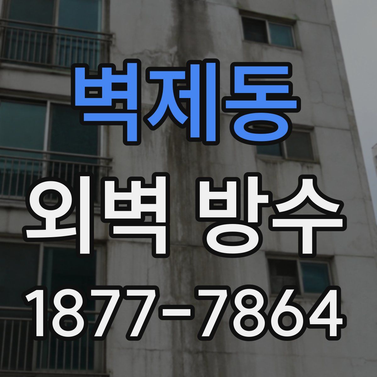 벽제동 외벽 방수