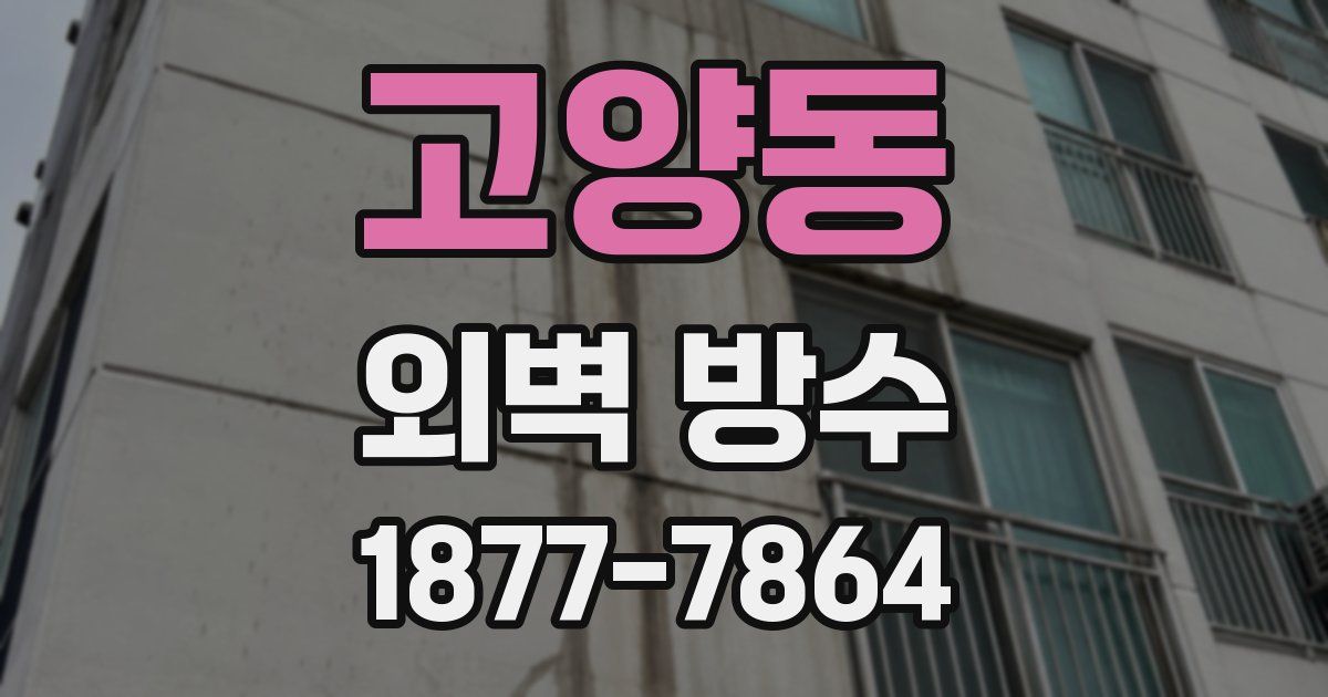 고양동 외벽 방수