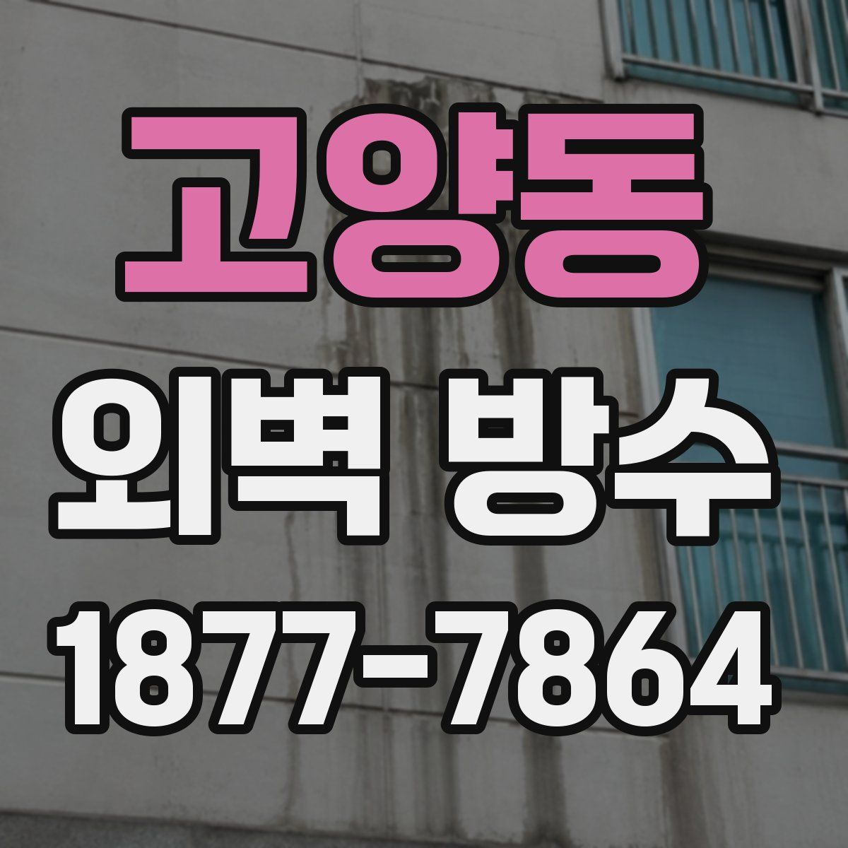 고양동 외벽 방수