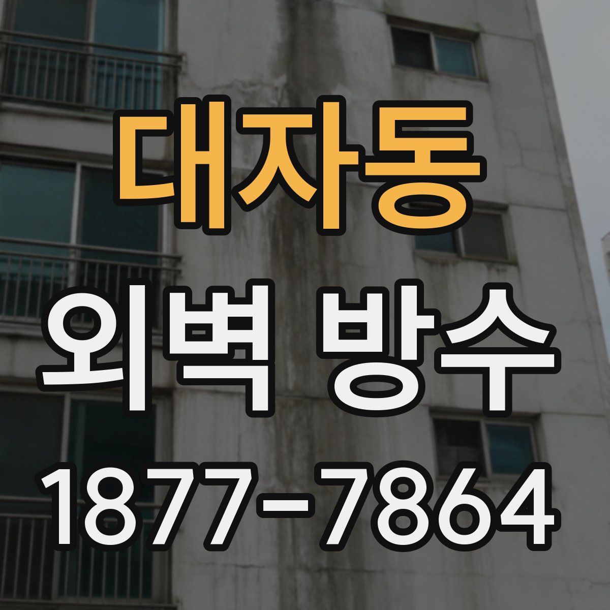 대자동 외벽 방수