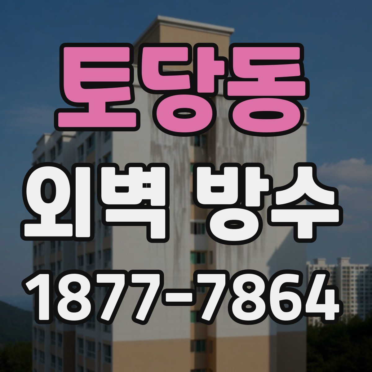 토당동 외벽 방수