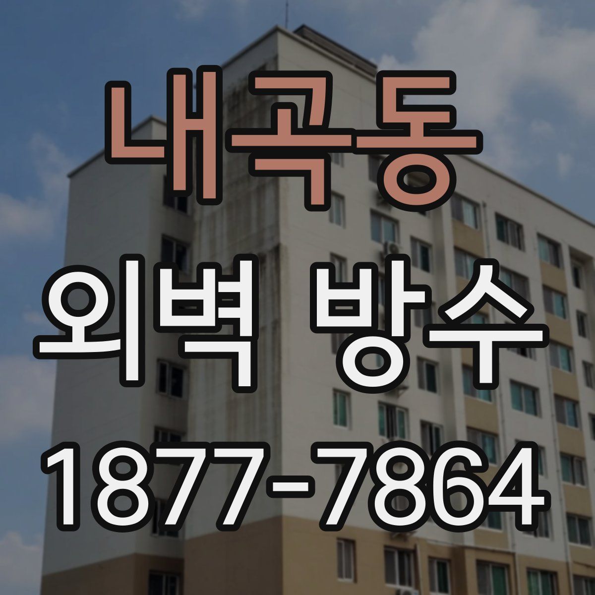 내곡동 외벽 방수