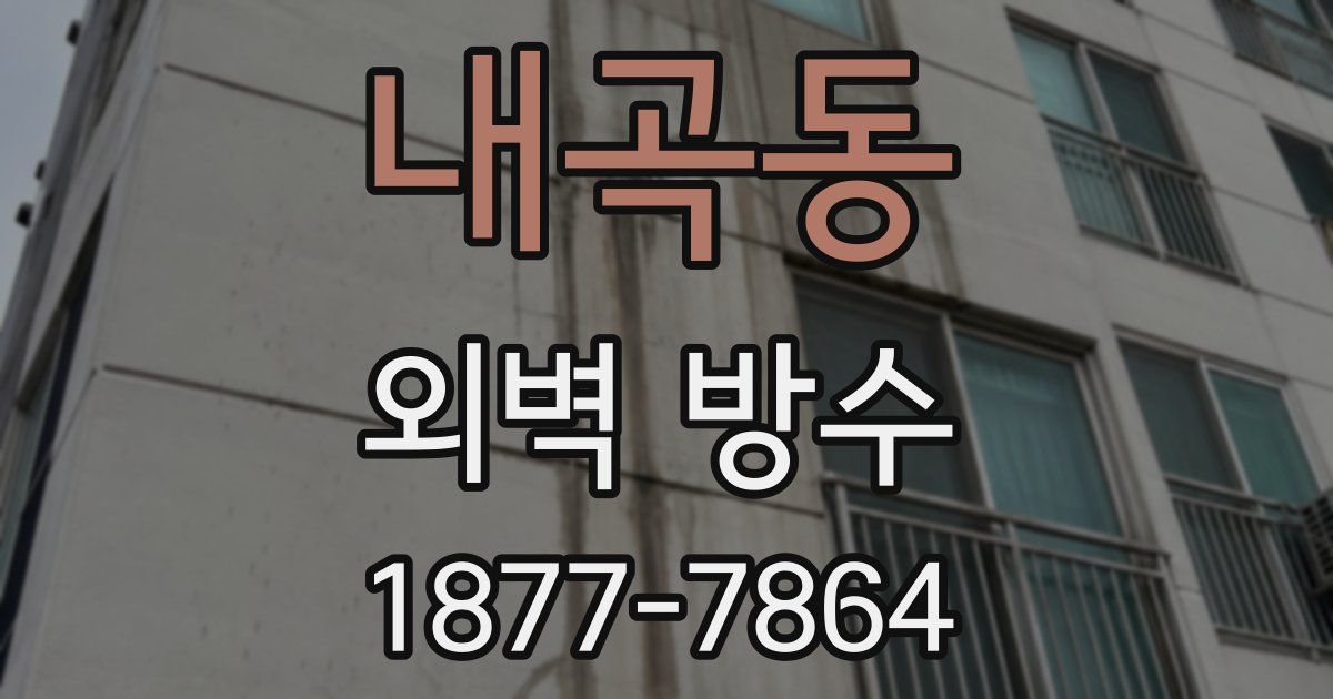 내곡동 외벽 방수