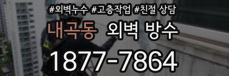 내곡동 외벽 방수