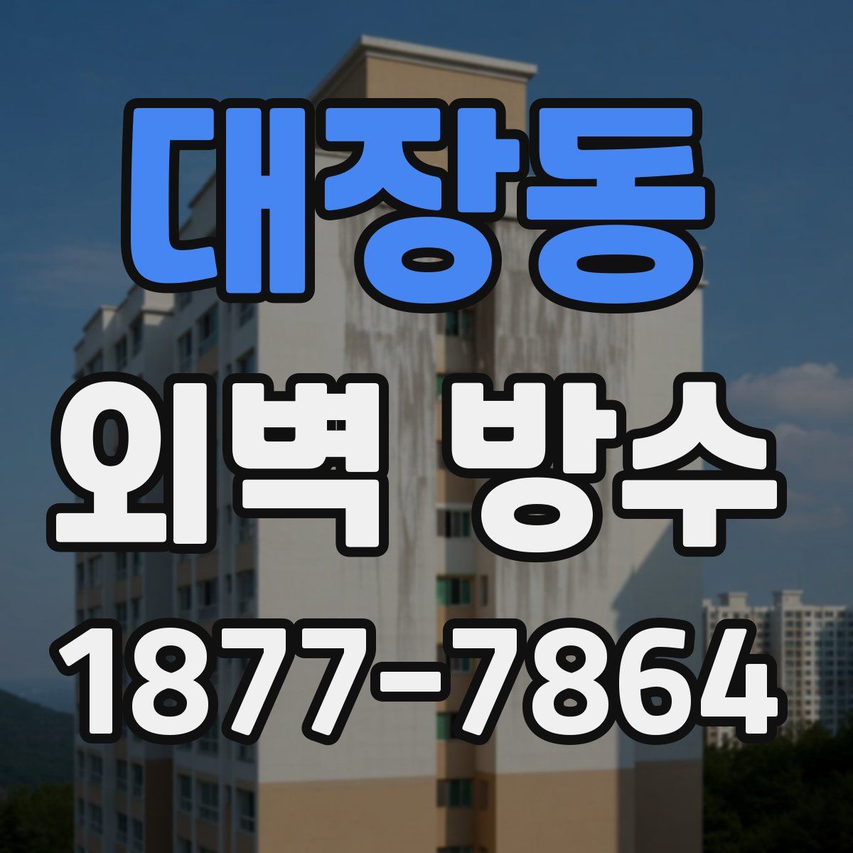 대장동 외벽 방수
