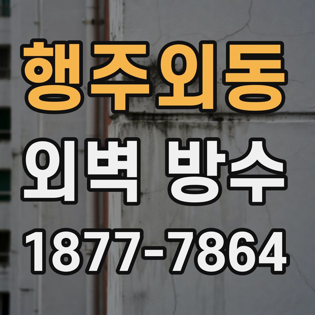 행주외동 외벽 방수