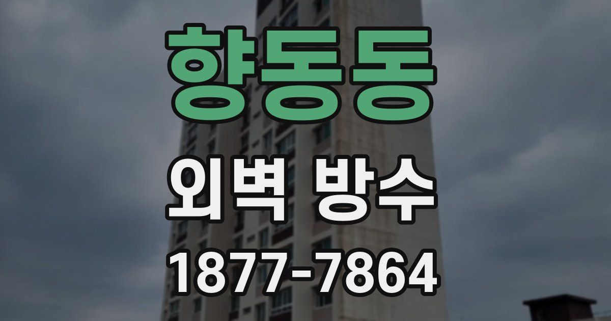 향동동 외벽 방수