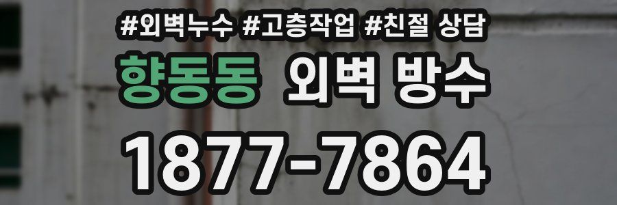 향동동 외벽 방수