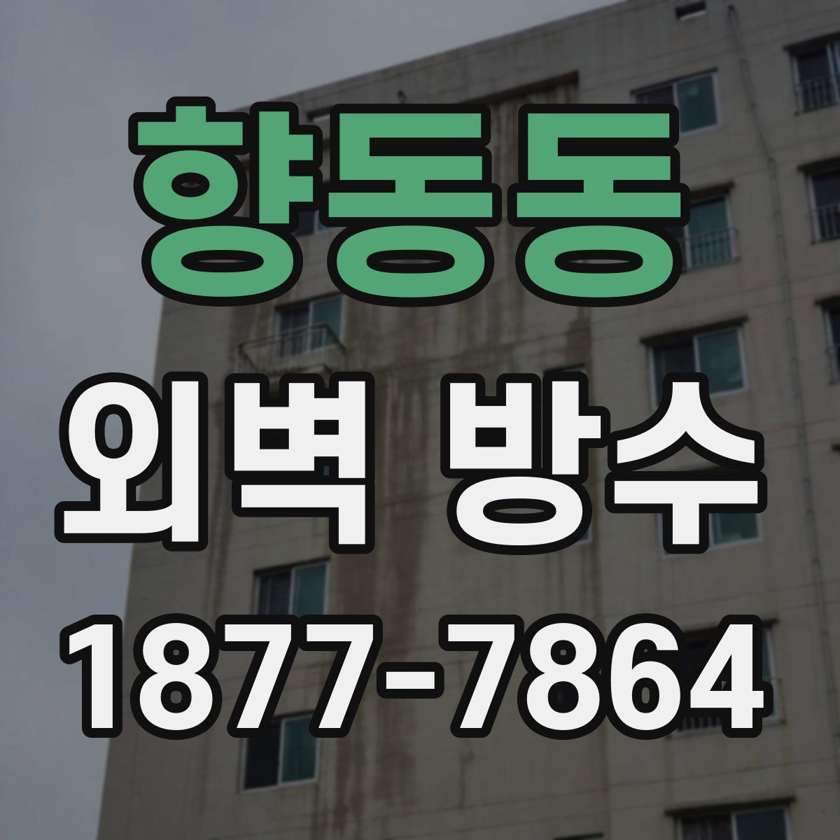 향동동 외벽 방수