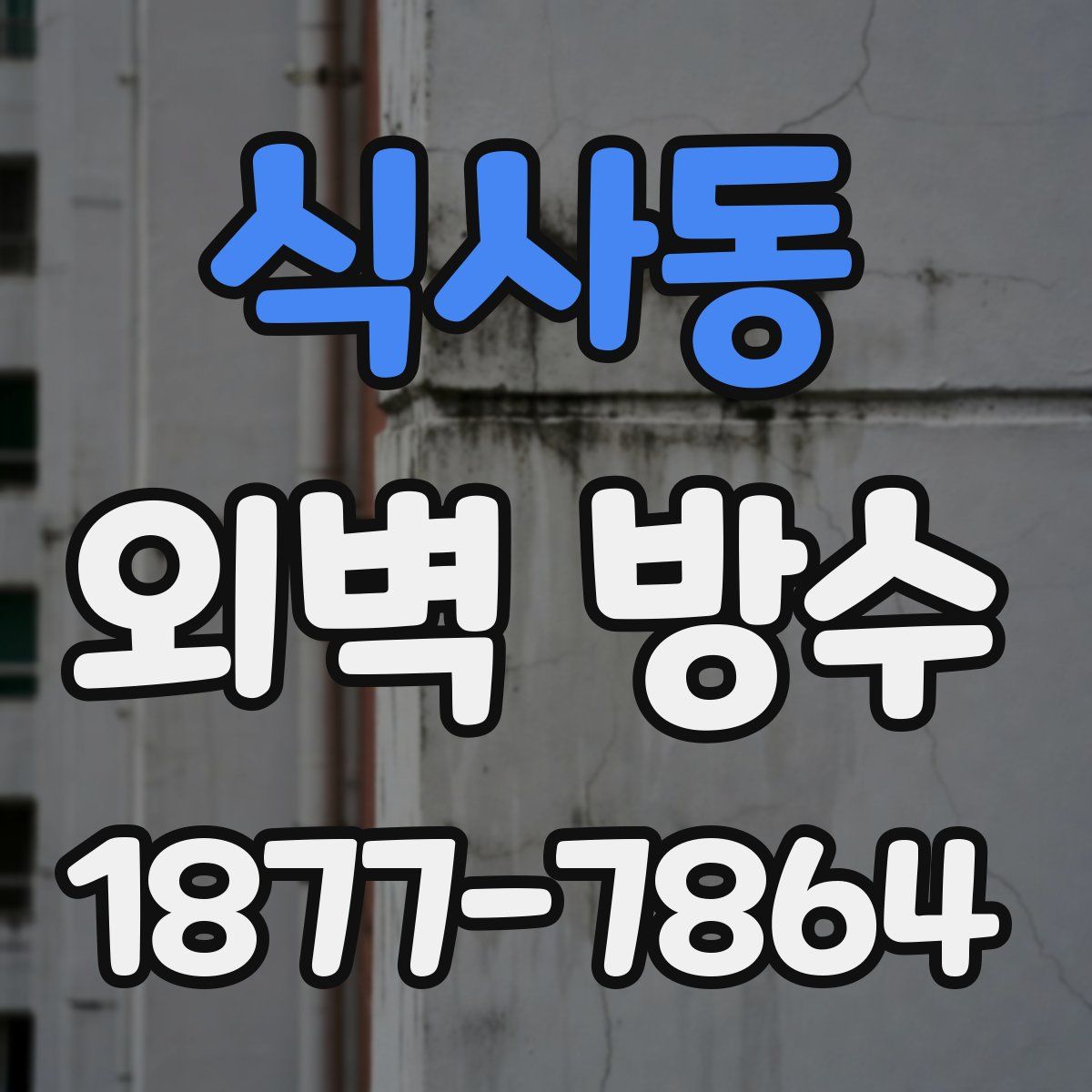 식사동 외벽 방수
