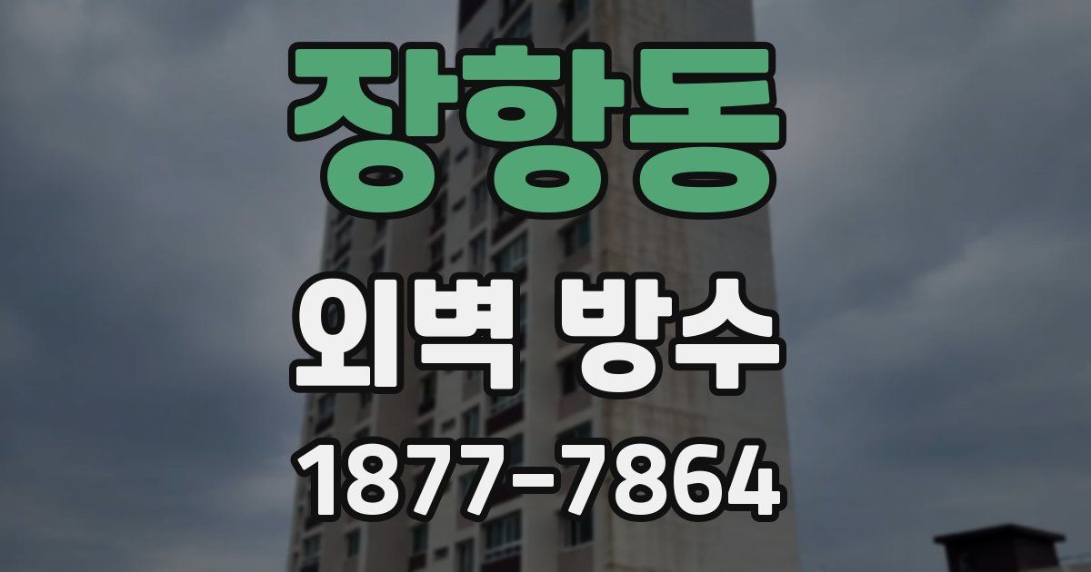 장항동 외벽 방수