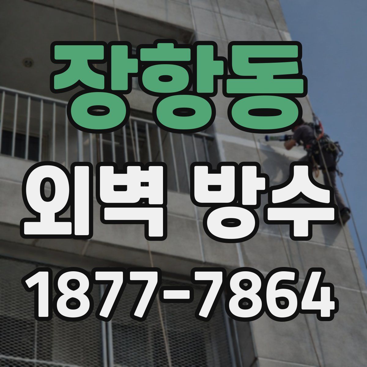 장항동 외벽 방수