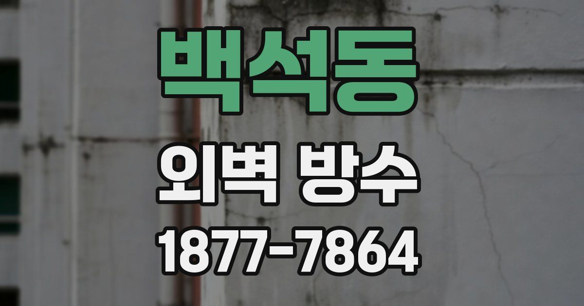 백석동 외벽 방수