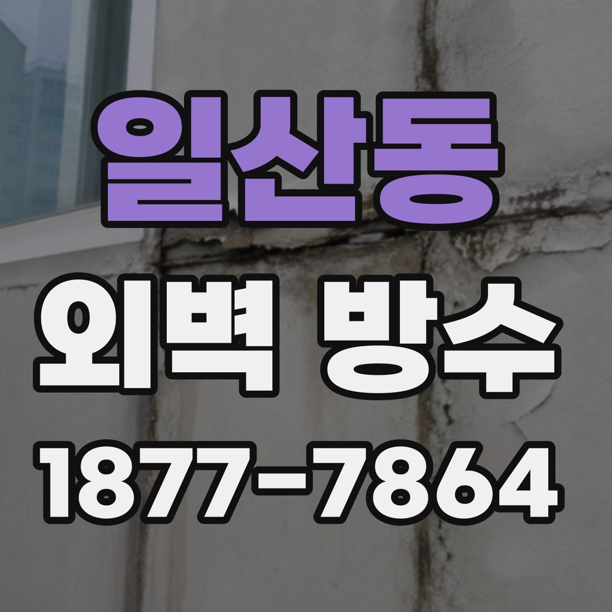일산동 외벽 방수