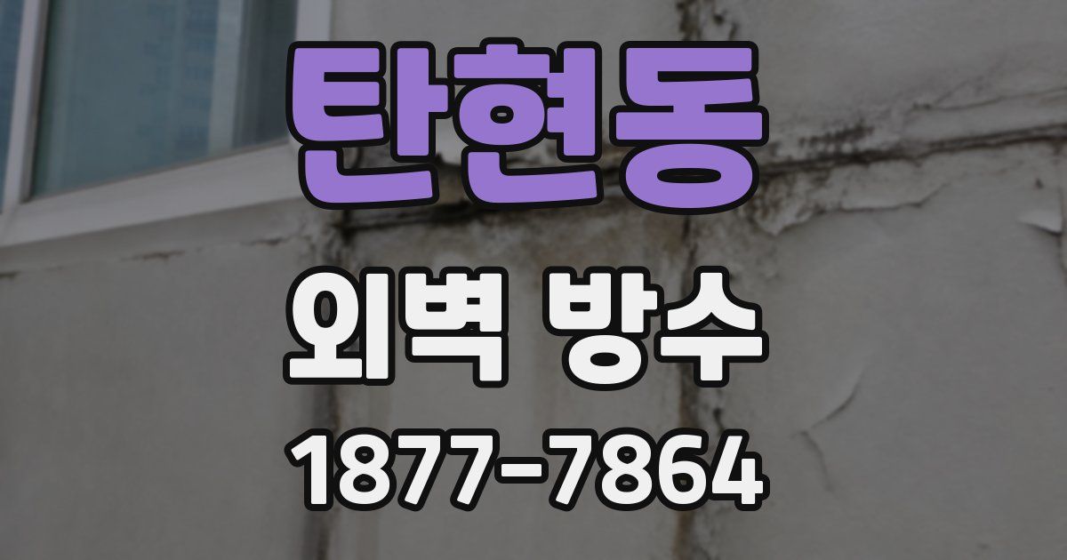 탄현동 외벽 방수