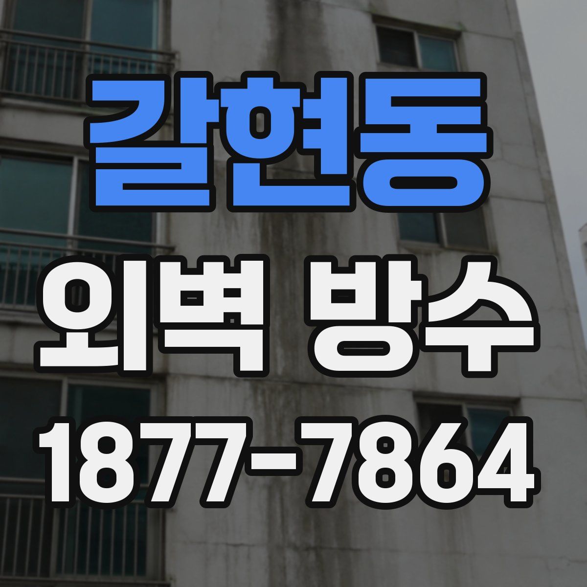 갈현동 외벽 방수