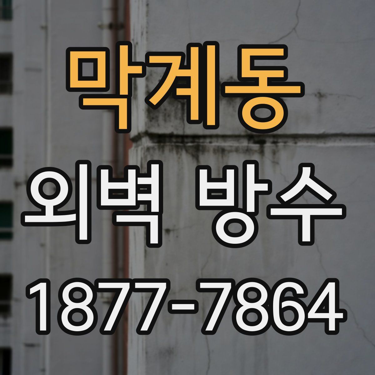 막계동 외벽 방수