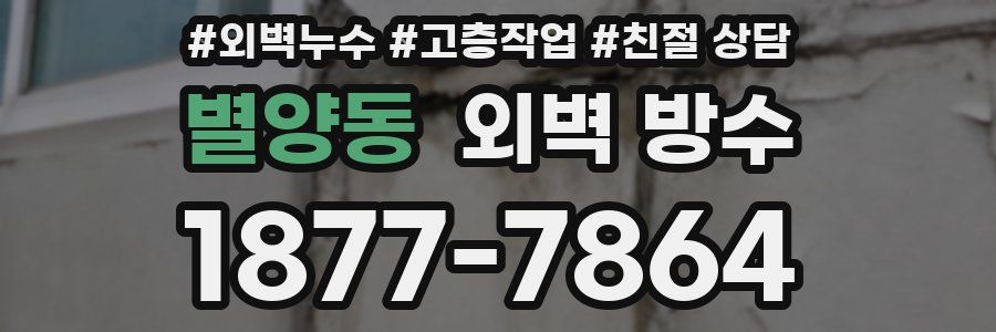 별양동 외벽 방수