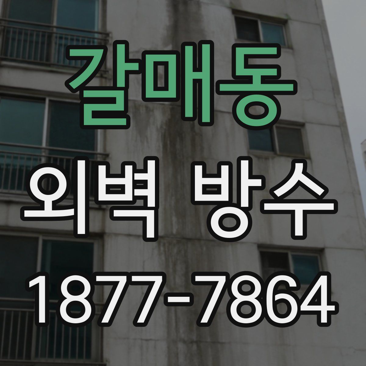 갈매동 외벽 방수